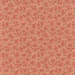 Larkspur 44106-15